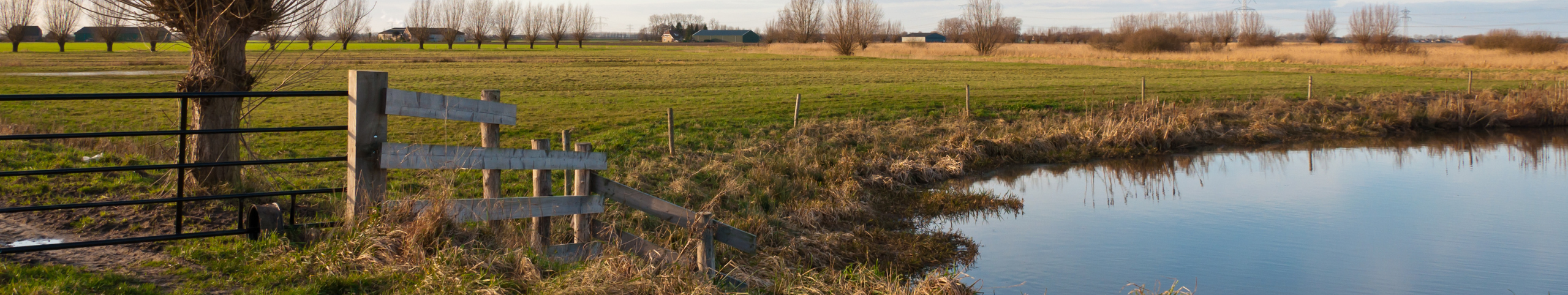 Banner Hardenberg - Overijssel - Nederland